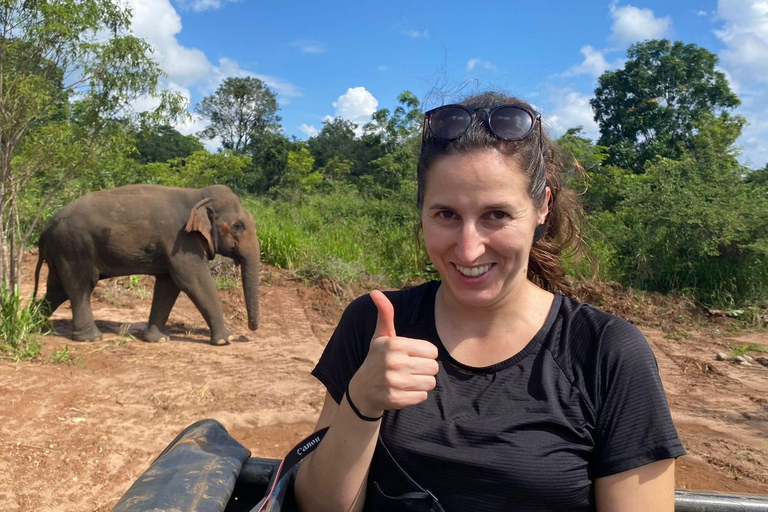 Desde Colombo: Excursión de un día al Parque Nacional de Sigiriya y Minneriya