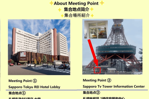 Eastern Hokkaido: Shibazakura & Tulip Park Day Tour Sapporo TV Tower Departure