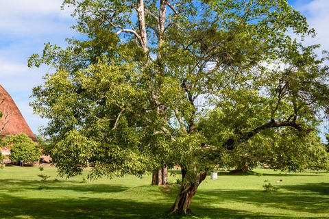 Tuk Tuk Day tour Anuradhapura Ancient City