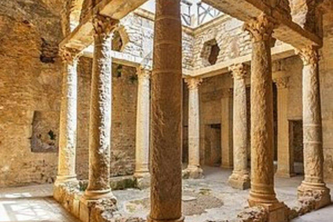 Private Tagestour ab Tunis: Dougga und Bulla RegiaVon Tunis aus: Dougga und Bulla Regia Private Tagestour