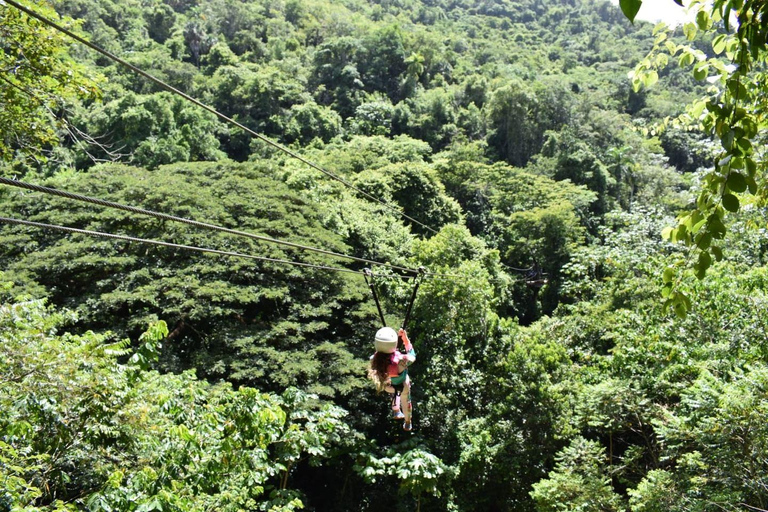 Damajagua: Zip Line och vattenfallsäventyr med lunch