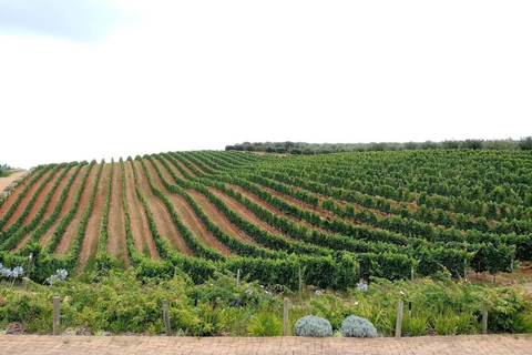 Private Wine Tasting tour