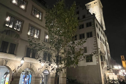 Enjoyable Advent tour: champagne, cookies & mulled wine in Würzburg Advent tour: Sparkling wine, cookies, mulled wine, and stories (German)