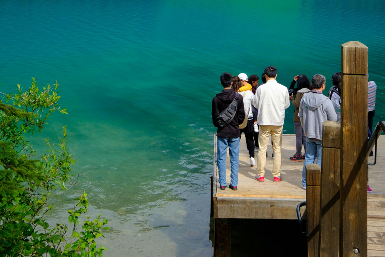 Banff & Yoho: Moraine, Louise, Emerald Lake, Canyon & Falls