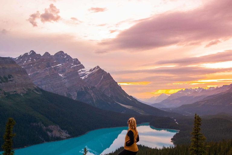 Von Calgary/Banff/Canmore: Rockies Tagestour mit Icefield