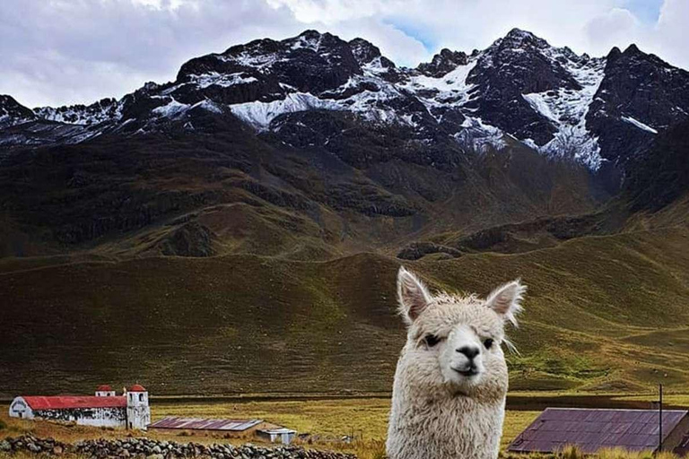 Round trip Cusco: Route of the sun + 1D in Puno with hotel