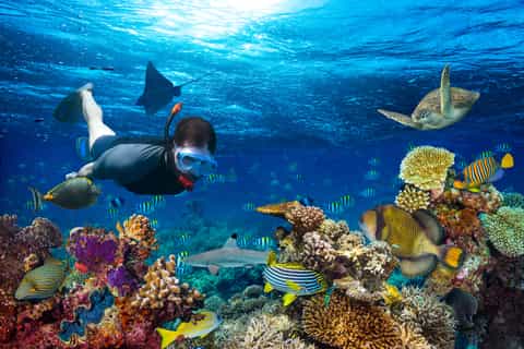 Cancun: Isla Mujeres Catamaran Tour with Lunch and Open Bar