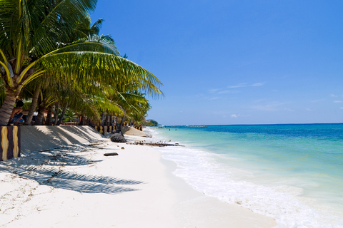 Vanuit Cebu: dagtrip naar Bohol hoogtepunten