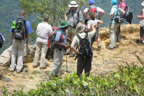 Trekking z Kandy do Ella