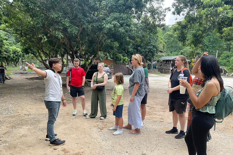 Chiang Rai:Guided Highlights Full-Day Tour-FREE LUNCH BUFFET Experience the Wonders of Chiang Rai with Free Thai Buffet