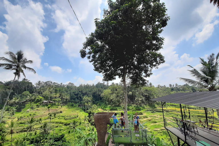 Ubud: Foresta di scimmie, terrazze di riso e cascateUbud: Foresta di scimmie, terrazza di riso e cascata