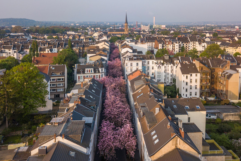 Bonn in 1 Day: Walking Tour with Digital Guide€15.00 - Duo ticket