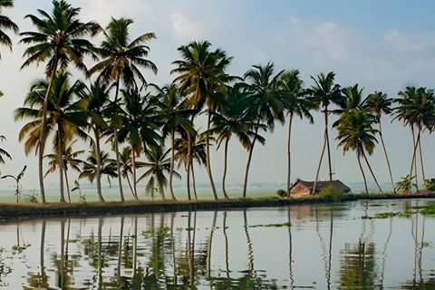 From Cochin Guided Tour of Fort Kochi with Drop at Kumarakom