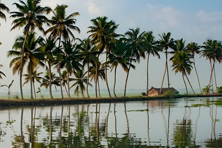From Cochin Guided Tour of Fort Kochi with Drop at Kumarakom