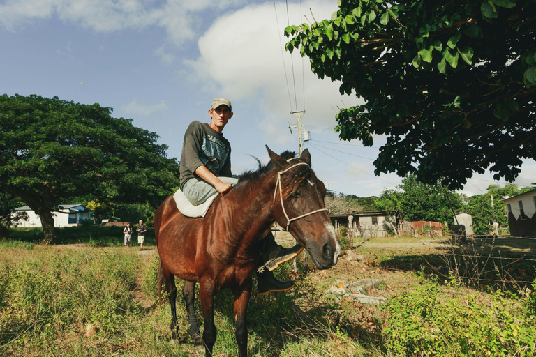 Santa Barbara: Horseback Ride With Lakeside Picnic Lunch