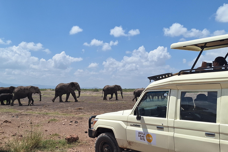 Nairobi: Amboseli National Park Tagestour mit PirschfahrtenSolo Nairobi: Amboseli National Park Tagestour