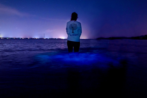 Merritt Island: Small-Group Clear Kayak Bioluminescence Tour