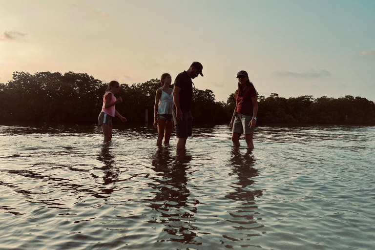 From Negombo: Boat Tour of Negombo Lagoon