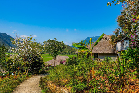 Mai Chau 1 Day: Cycling Through Rice Fields & Ethnic Village Group Tour