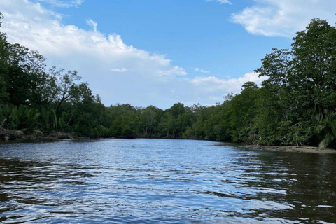 Pacchetto tour di un giorno della città di Kota Kinabalu e crociera sul fiume BongawanPacchetto tour giornaliero della città di Kota Kinabalu e crociera sul fiume Bongawan