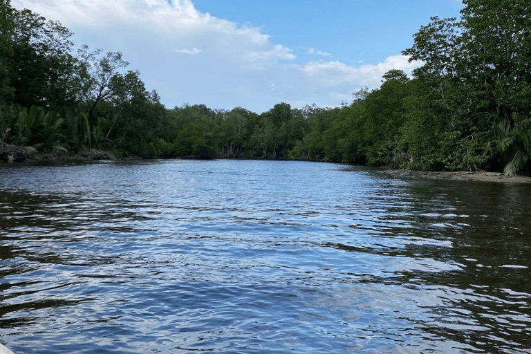 Pacchetto tour di un giorno della città di Kota Kinabalu e crociera sul fiume BongawanPacchetto tour giornaliero della città di Kota Kinabalu e crociera sul fiume Bongawan