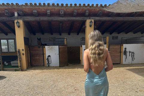 Oman-Salalah: Sunset Beach Horseback Ride with Hotel Pickup