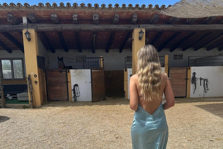 Oman-Salalah: Sunset Beach Horseback Ride with Hotel Pickup