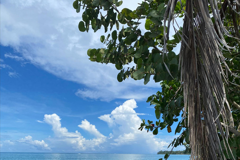 Cahuita : Randonnée guidée dans le parc national de Cahuita