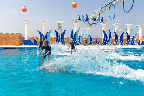 Alanya: tour del parco dei delfini di Sealanya con spettacolo di delfini