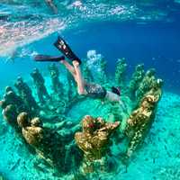 Îles Gili, excursion en plongée en apnée privée ou partagée - Housity