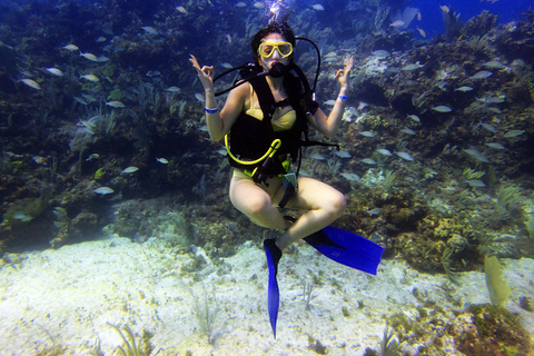 Cancun: 2-Tank Dive for Beginners with MUSA and Reef Dive