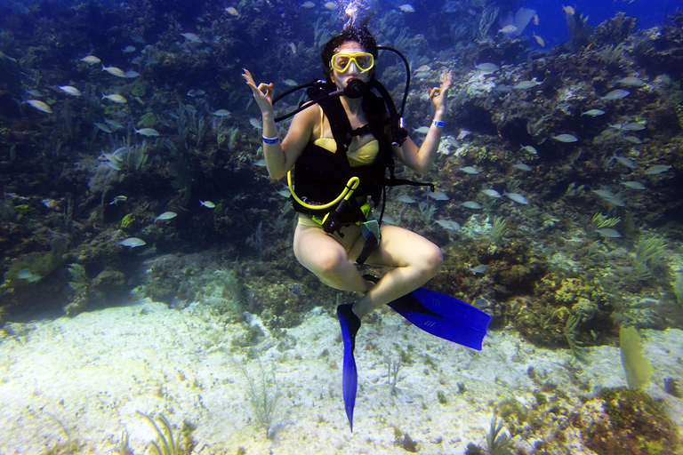Cancun: 2-Tank Dive for Beginners with MUSA and Reef Dive