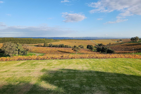 Adélaïde : McLaren Vale Private WineTour+Dégustations de votre choix