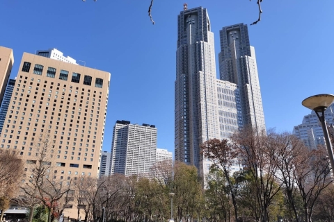 Visite à pied privée entièrement personnalisable à TokyoVisite à pied privée entièrement personnalisable à Tokyo (6 heures)
