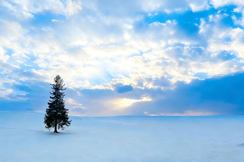 Hokkaido Winter Shikisai no Oka, Blue Pond (Dec.10 - Mar.10) 10:40 am meet at JR Sapporo Station North exit