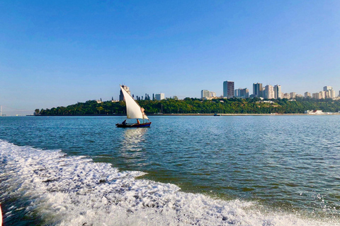 Whale Watching Maputo