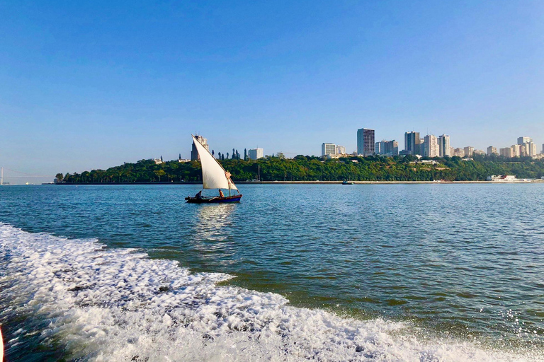 Whale Watching Maputo