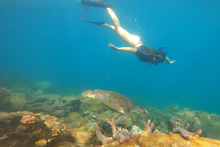 Un día en Ilha Grande Snorkel con tortugas PrivadoUn día en Ilha Grande Snorkel con tortugas