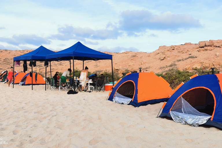 Passeios de mergulho com snorkel nas ilhas DaymaniyatExcursões de mergulho com snorkel para as ilhas Daymaniyat