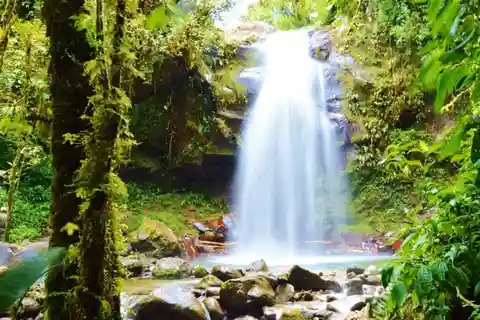 Boquete: Excursión a pie por el Bosque Nuboso
