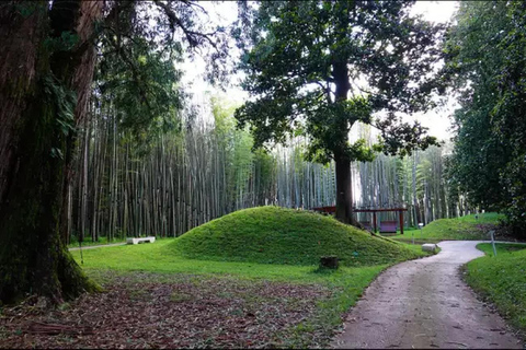 Kutaisi: Batumi, Shekvetili & Petra Fortress Full day Tour
