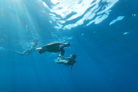 Tenerife: Tour guiado en Kayak