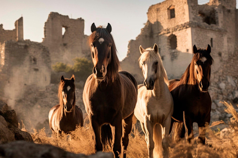 Cappadocia: Horse Riding in Red & Rose Valleys with Pickup 1-Hour Horse Ride through Red & Rose Valleys
