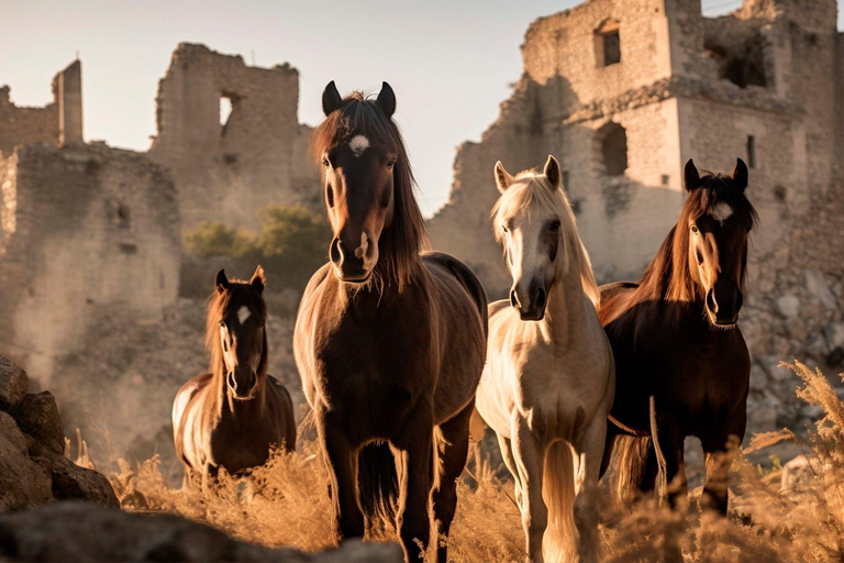 Cappadocia: Horse Riding in Red & Rose Valleys with Pickup 1-Hour Horse Ride through Red & Rose Valleys