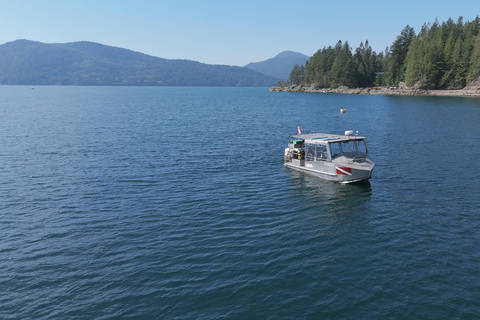 Vancouver: Howe Sound Wildlife and Scenery Boat Tour