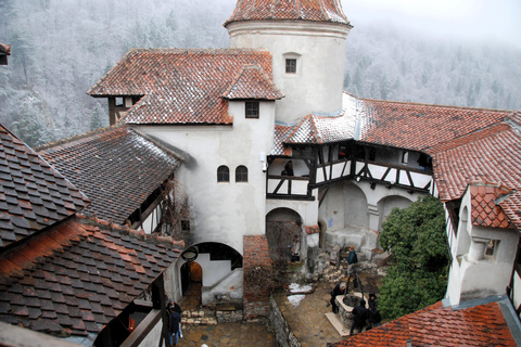 Brașov: Visit a Transylvanian Village Home near Bran Castle From Brașov to a Traditional Village Home in the Bran Area