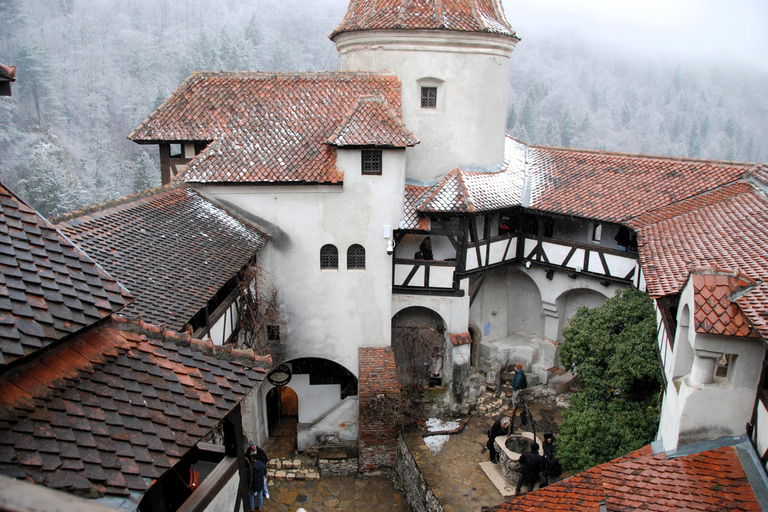 Brașov: Visit a Transylvanian Village Home near Bran Castle From Brașov to a Traditional Village Home in the Bran Area