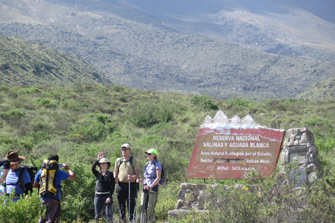 Caminhada de meio dia em Arequipa ao Vulcão MistiCaminhada de meio dia em Arequipa até o Vulcão Misti