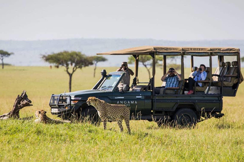 3-dniowe safari Masai Mara z balonem na gorące powietrze $ szampanMasai Mara; Safari balonem na ogrzane powietrze i śniadanie z szampanem