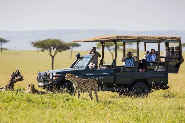 3-dniowe safari Masai Mara z balonem na gorące powietrze $ szampanMasai Mara; Safari balonem na ogrzane powietrze i śniadanie z szampanem